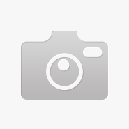 Лилейник гибридный (Hemerocallis `Rainbow Candy ` С2 - С3