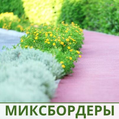 Миксбордеры