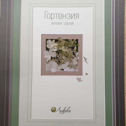 Каталог сортов гортензии